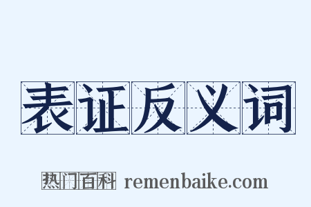 表证反义词是什么意思的图片